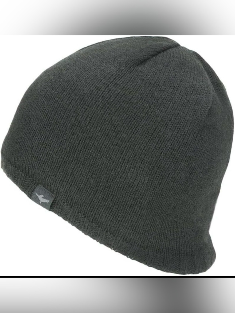 SEALSKINZ Waterproof Cold Weather Beanie Large-X-Large, dark gray